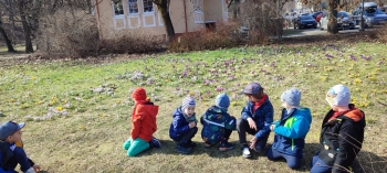 IMG-20250401-WA0018