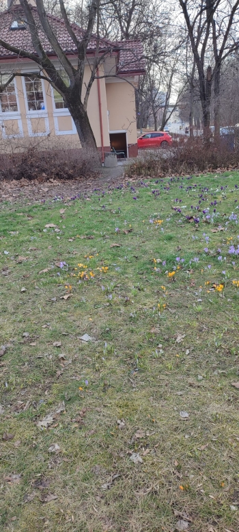 IMG-20250401-WA0023