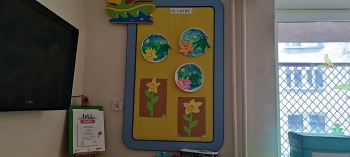 43