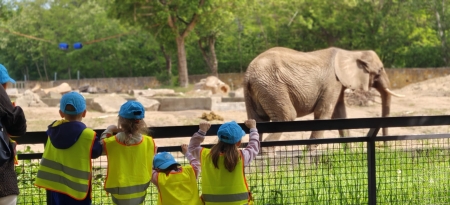 Wycieczka do ZOO